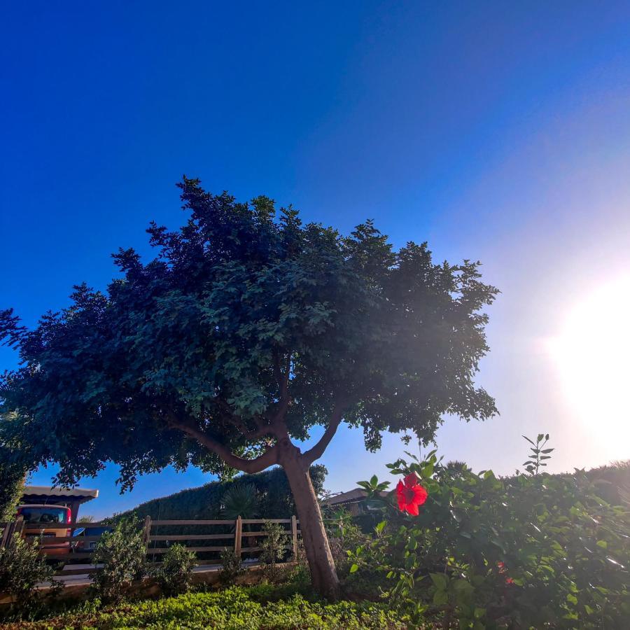 Villa Castiglione กุสโตนาชี ภายนอก รูปภาพ